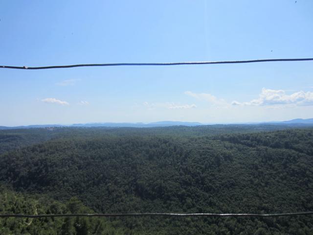 2020-07-12-15-41-07_canon-ixus-220hs.jpg