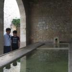2020-07-13-17-47-50_canonixus220hs.jpg