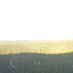2020-07-15-07-18-54_canonixus220hs.jpg
