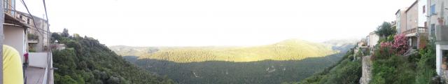 2020-07-15-07-18-54_canonixus220hs.jpg