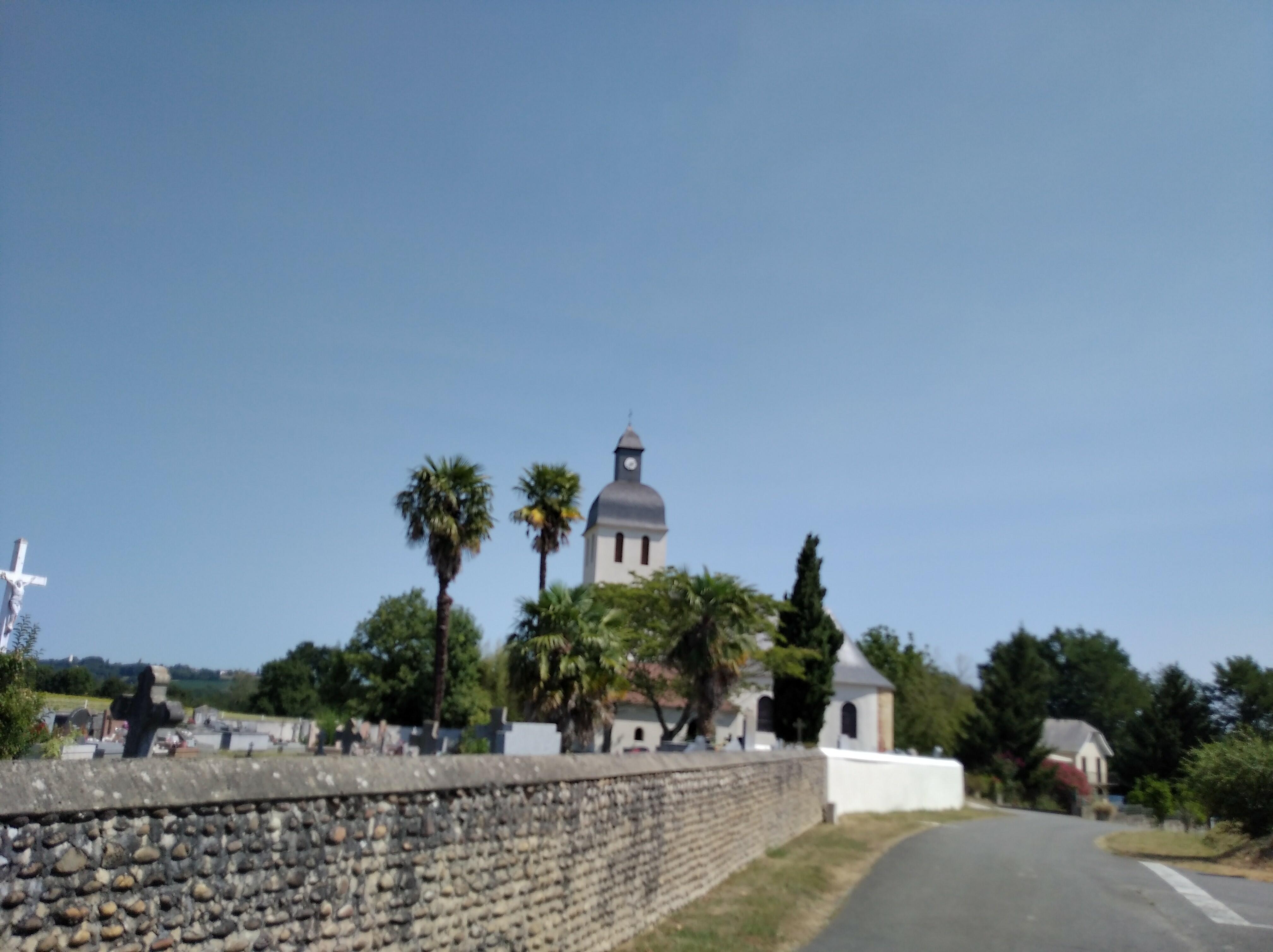 2020-08-07-12-02-33_redmi7a.jpg