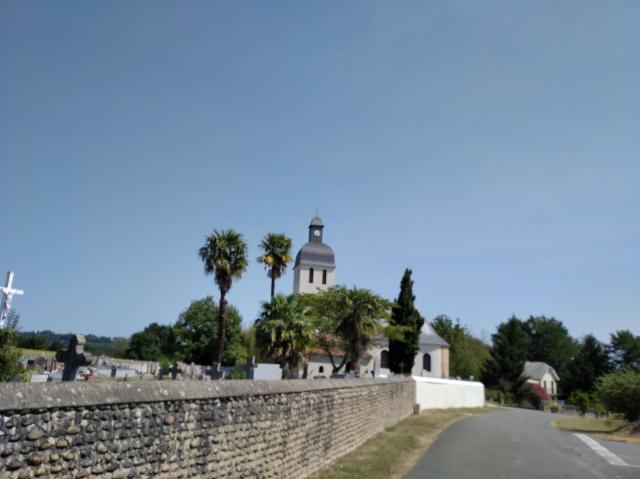 2020-08-07-12-02-33_redmi7a.jpg