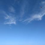 2020-08-16-10-13-33_motog5.jpg