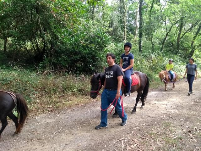 2020-08-18-11-36-36_motog5.jpg