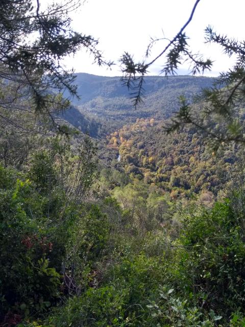 2020-10-25-10-32-50_motog5.jpg