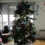 2020-12-20-13-14-02_canon-ixus-220hs.jpg