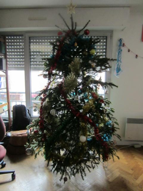 2020-12-20-13-14-02_canon-ixus-220hs.jpg
