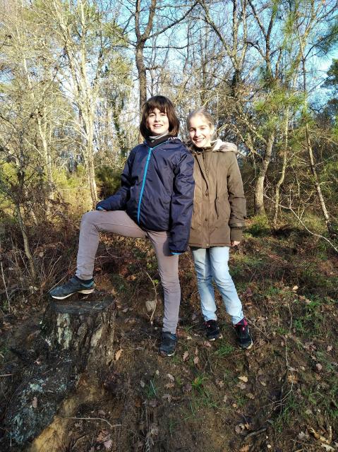 2020-12-26-15-34-12_redmi7a.jpg
