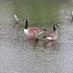 2021-04-21-17-32-11_motog5.jpg