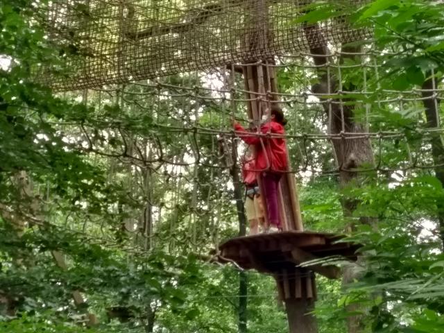 2021-07-03-11-38-09_motog5.jpg