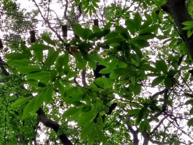 2021-07-03-11-48-09_motog5.jpg