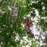 2021-07-03-12-01-05_motog5.jpg