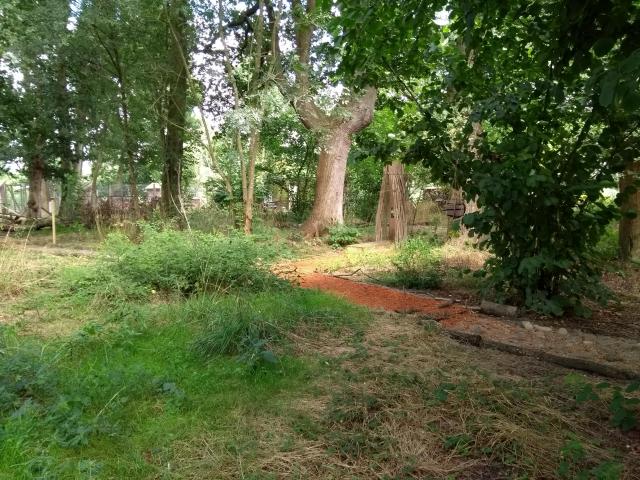 2021-08-04-15-54-50_motog5.jpg