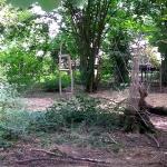 2021-08-04-15-55-01_motog5.jpg