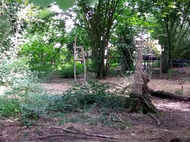 2021-08-04-15-55-01_motog5.jpg