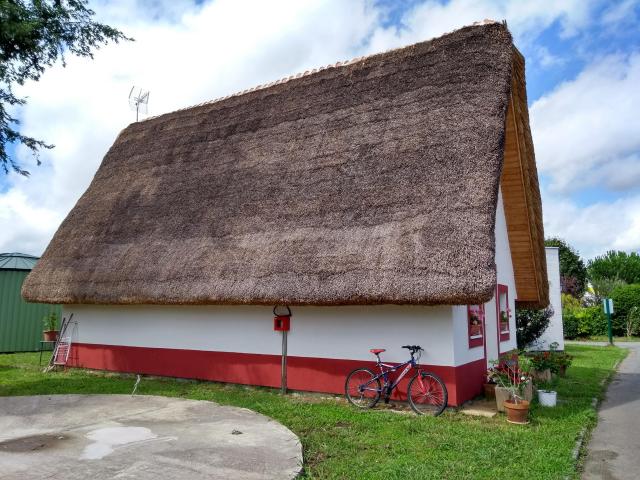2021-08-04-16-11-29_motog5.jpg