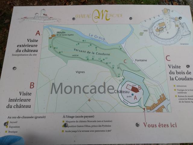 2021-08-08-17-13-48_motog5.jpg