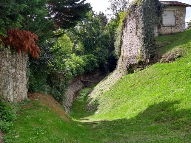 2021-08-08-17-14-51_motog5.jpg