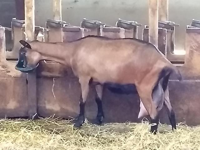 2021-08-17-16-50-18_motog5.jpg
