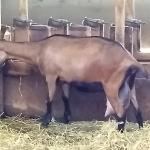 2021-08-17-16-50-21_motog5.jpg
