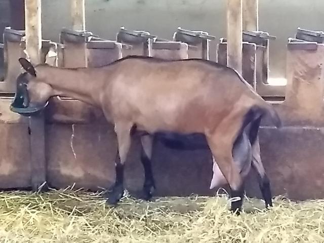 2021-08-17-16-50-21_motog5.jpg