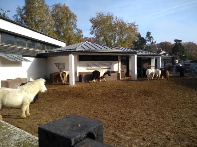 2021-11-12-11-43-38_motog5.jpg