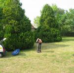 IMG_3619.jpg