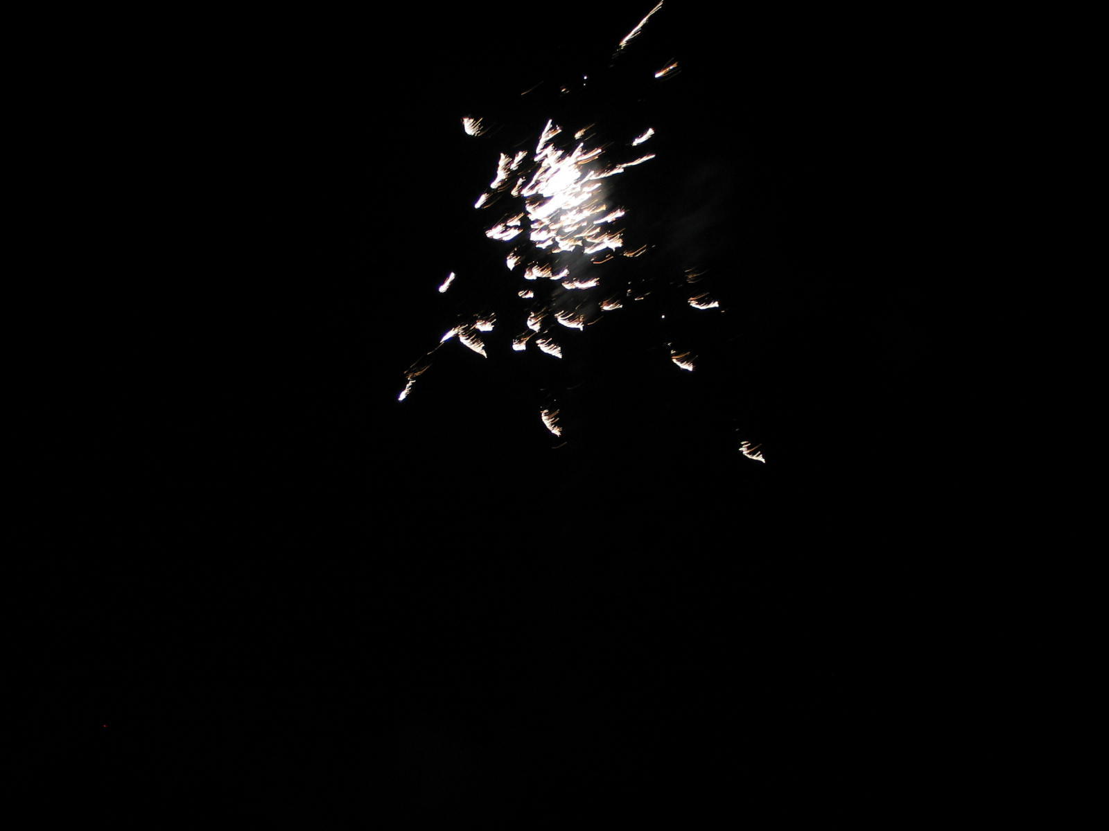 IMG_3683.jpg