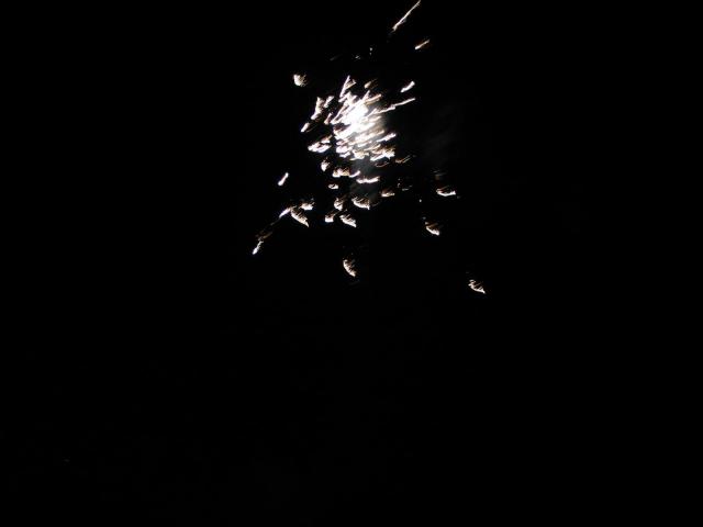 IMG_3683.jpg