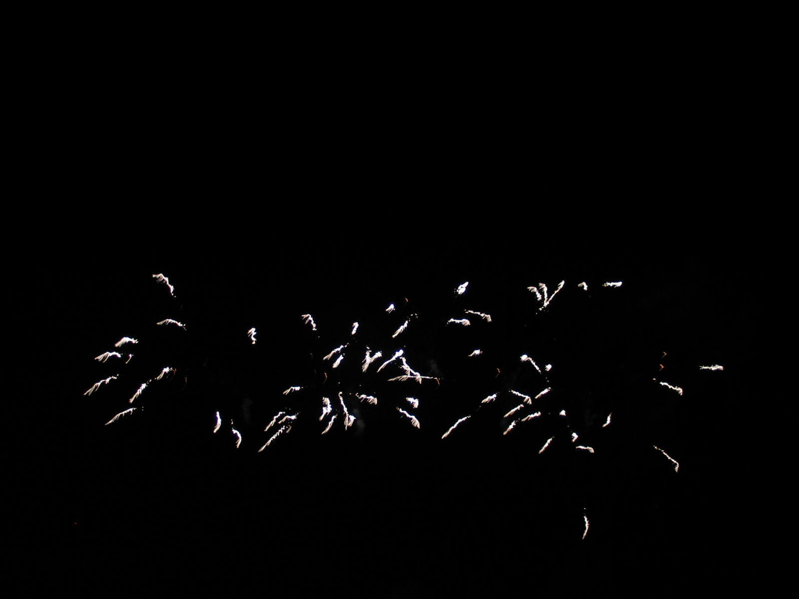 IMG_3685.jpg