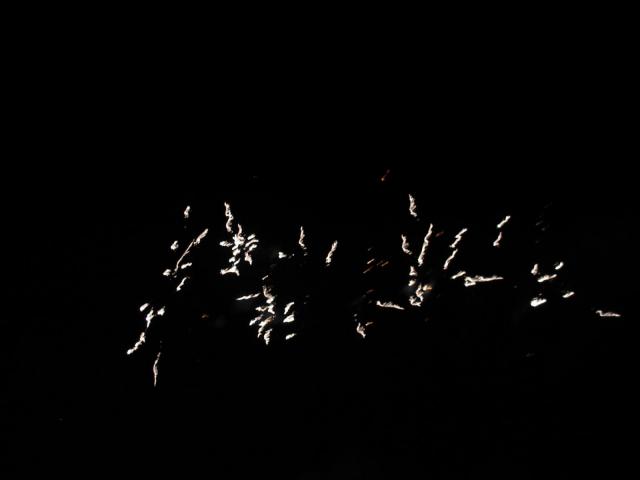 IMG_3686.jpg