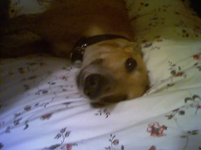 02_11_05_1935.jpg