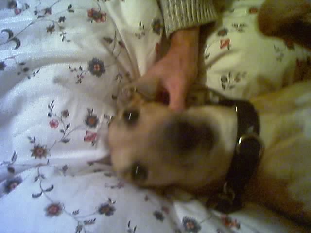 02_11_05_1936.jpg
