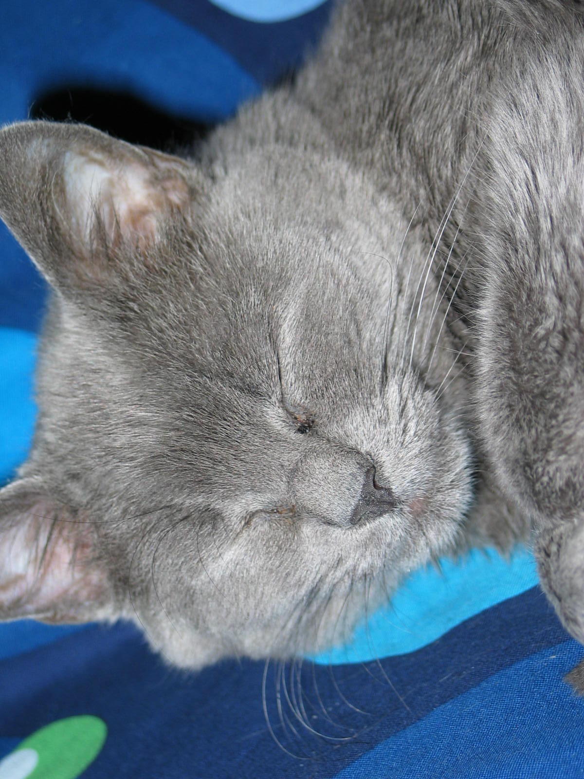 IMG_6920.jpg