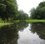 IMG_3074.jpg