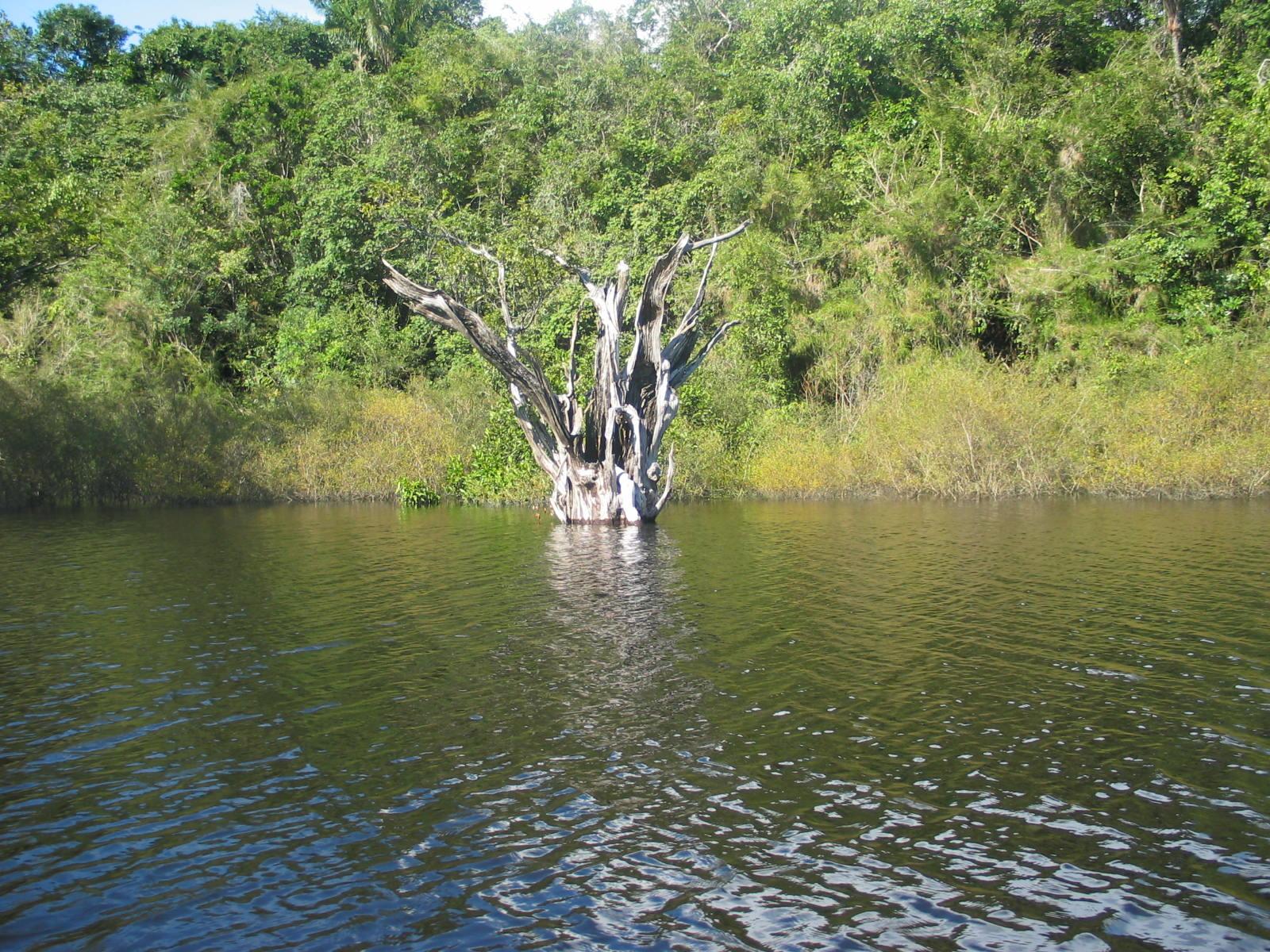 IMG_3123.jpg