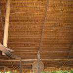 IMG_3145.jpg