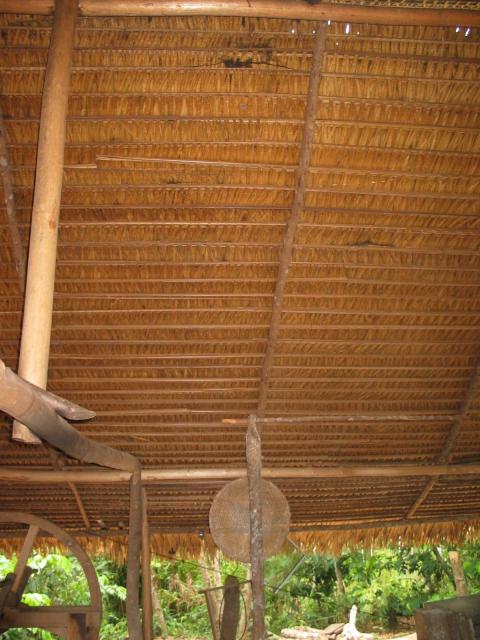 IMG_3145.jpg