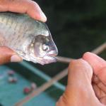 IMG_3162.jpg