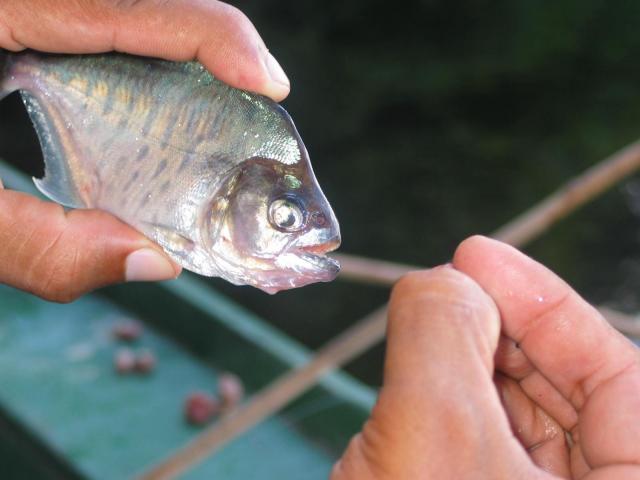 IMG_3162.jpg