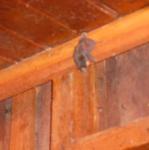 IMG_3174.jpg