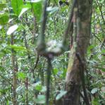 IMG_3220.jpg