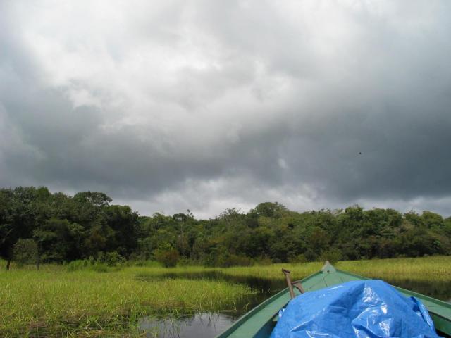 IMG_3234.jpg