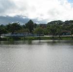 IMG_2556.jpg