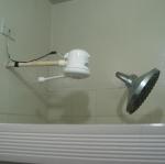 IMG_2561.jpg