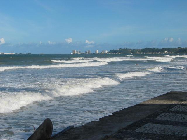 IMG_2820.jpg
