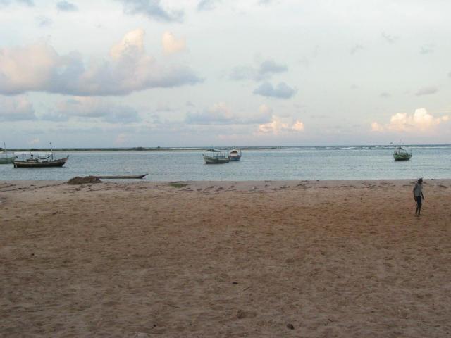 IMG_2829.jpg