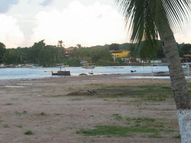 IMG_2830.jpg