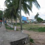 IMG_2833.jpg