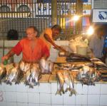 IMG_3242.jpg